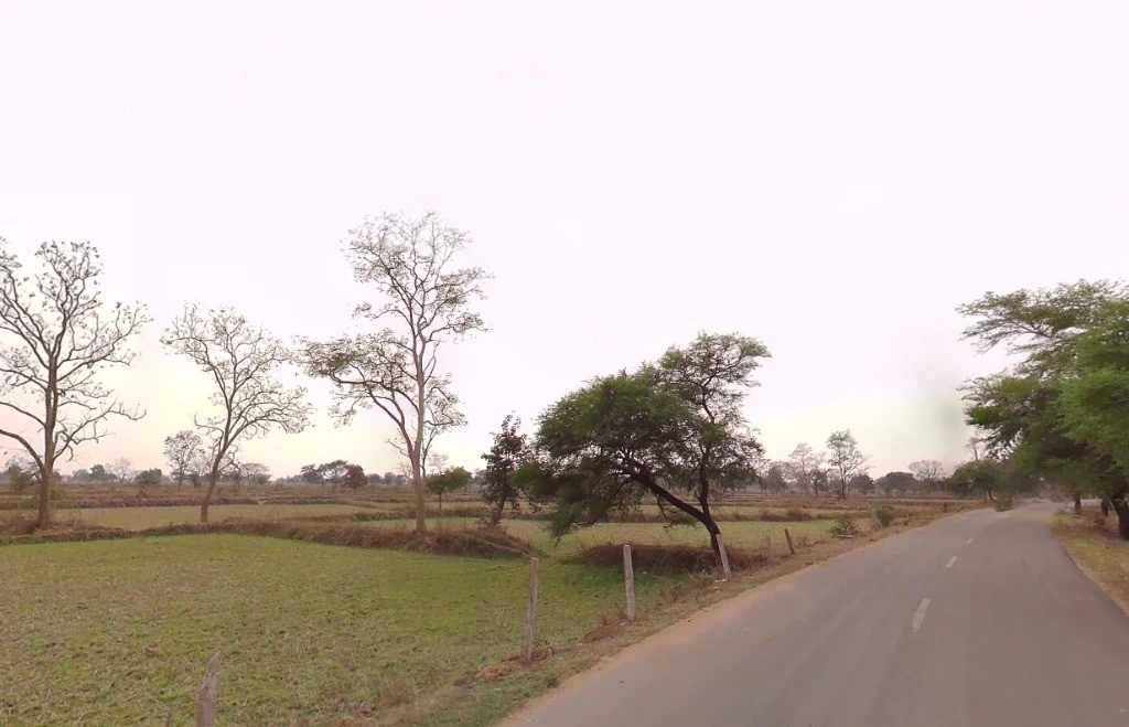 Amawash, Chhattisgarh 493445, India