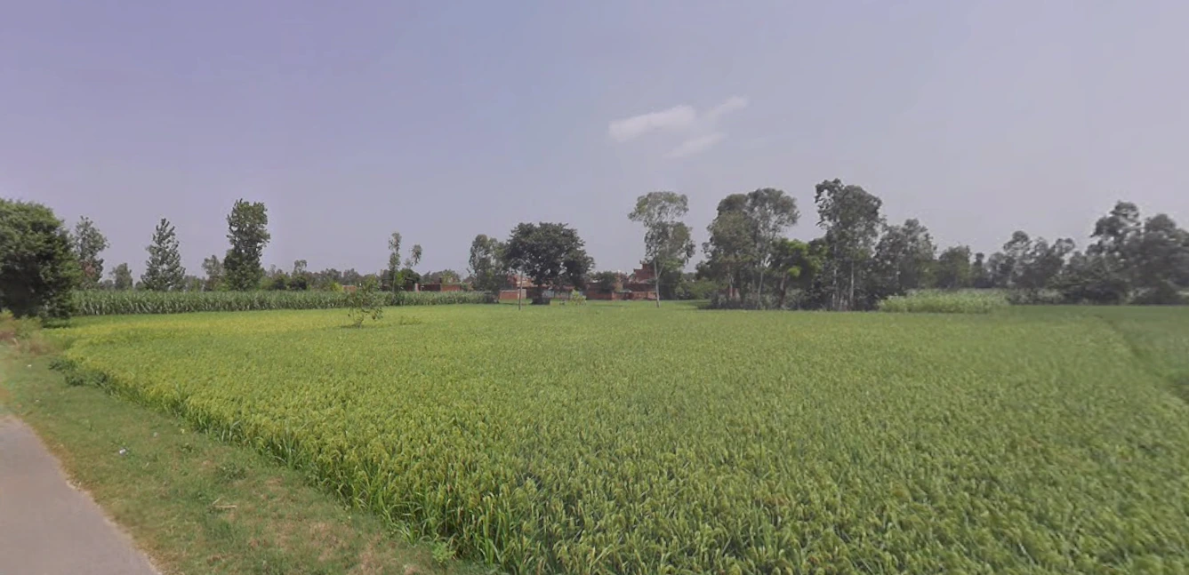 Chandpur, Uttar Pradesh 246725, India