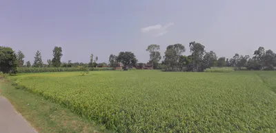 Chandpur, Uttar Pradesh 246725, India preview 2