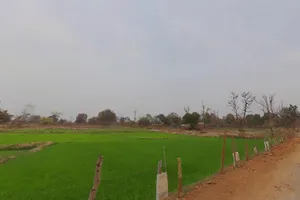 Sambalpur, Chhattisgarh 493773, India preview 3