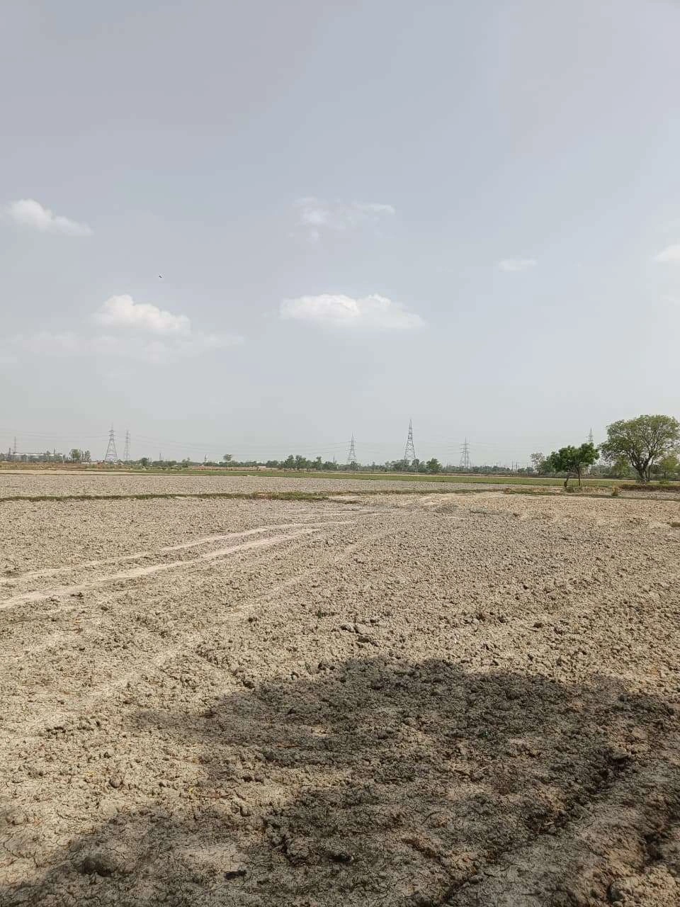 Gauhari, Uttar Pradesh 281401, India