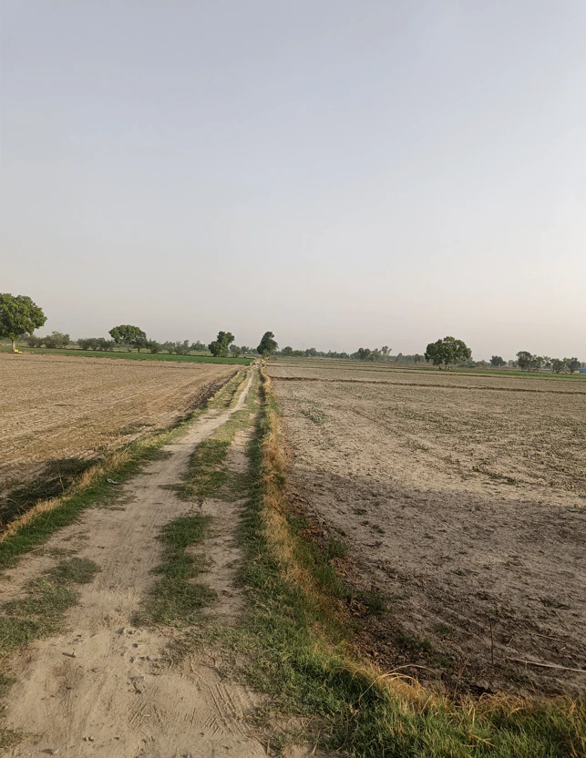 Morinda - Chunni Rd, Bhateri, Punjab, India