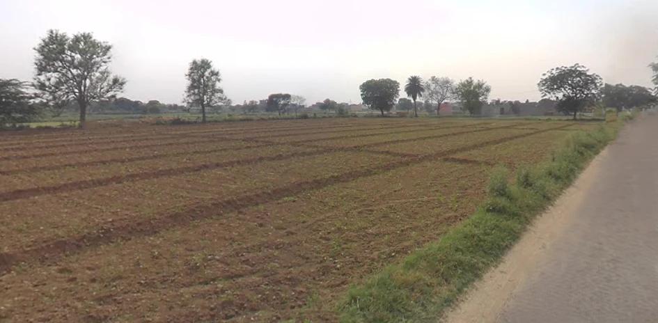 Shikarpur, Uttar Pradesh 203395, India
