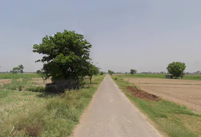 Kuchesar, Uttar Pradesh 203402, India preview 3