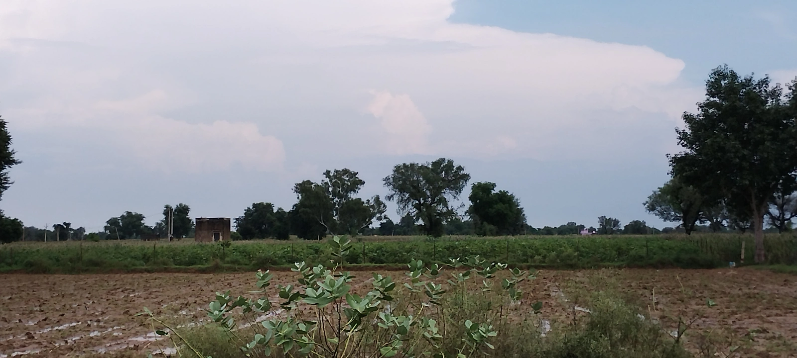 Barodameo, Rajasthan 301021, India