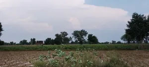 Barodameo, Rajasthan 301021, India preview 3