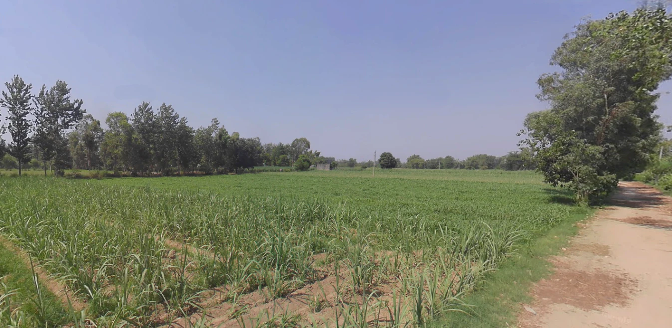 Anupshahar, Uttar Pradesh 203390, India