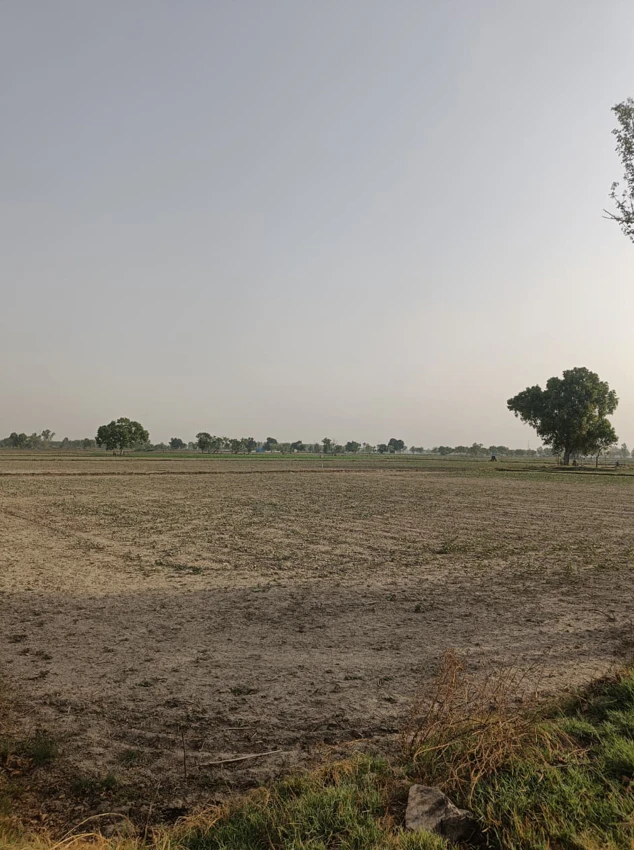 Jamli, Madhya Pradesh 451666, India