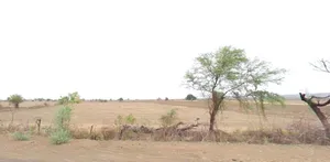 P2M8+M9G, Khemana, Madhya Pradesh 452016, India preview 3