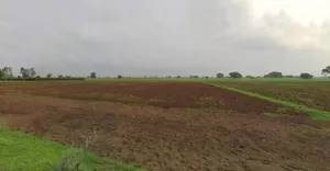 Bhagwanpur, Uttarakhand 247661, India preview 2