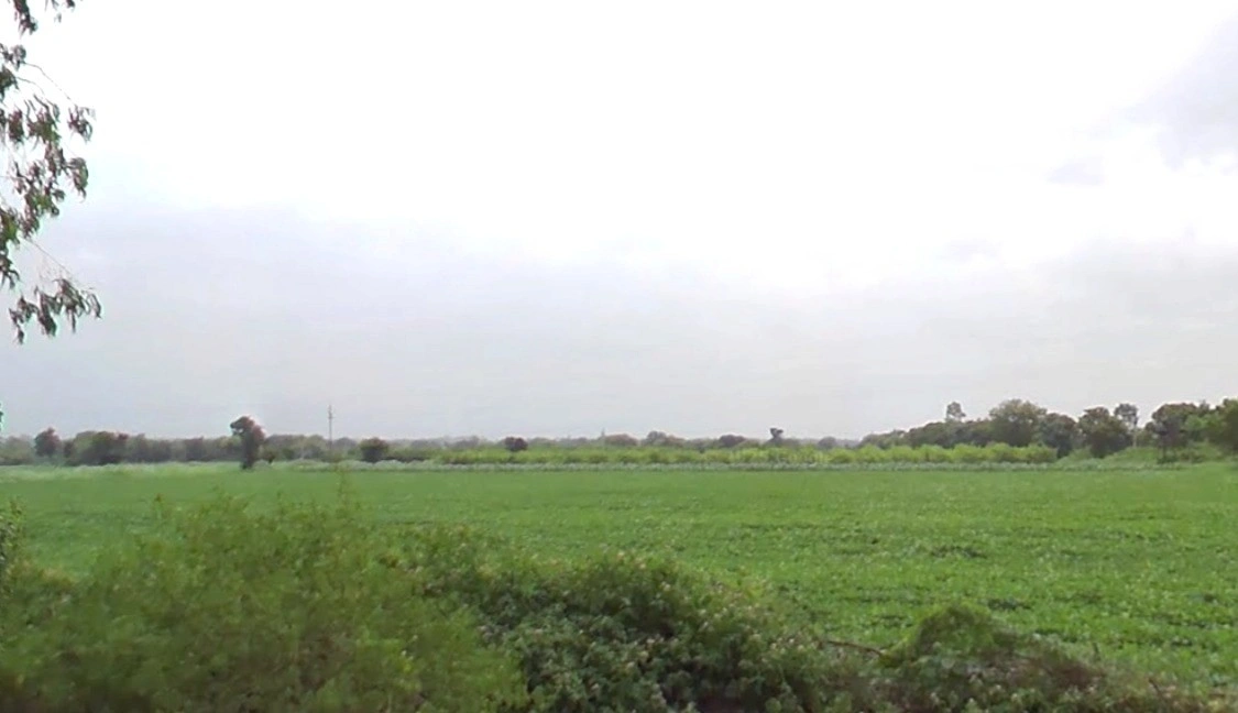 Lohar Pipalya, Madhya Pradesh 455001, India