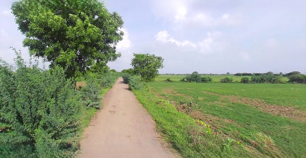 Barnagar, Madhya Pradesh 456771, India