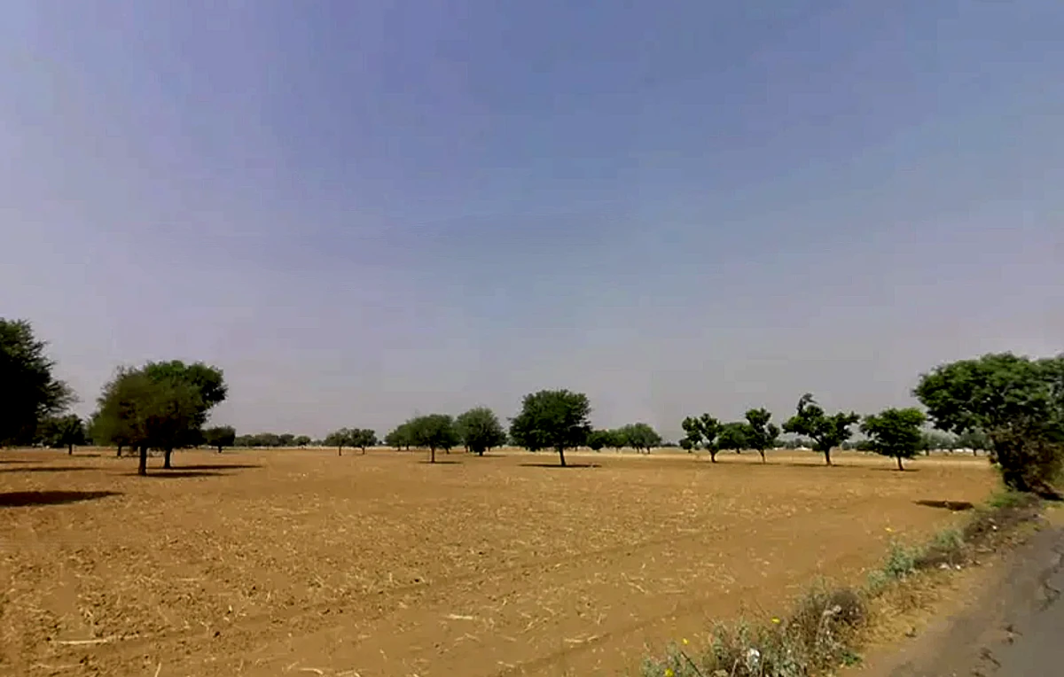 Jaisinghpur Khera, Haryana 123501, India