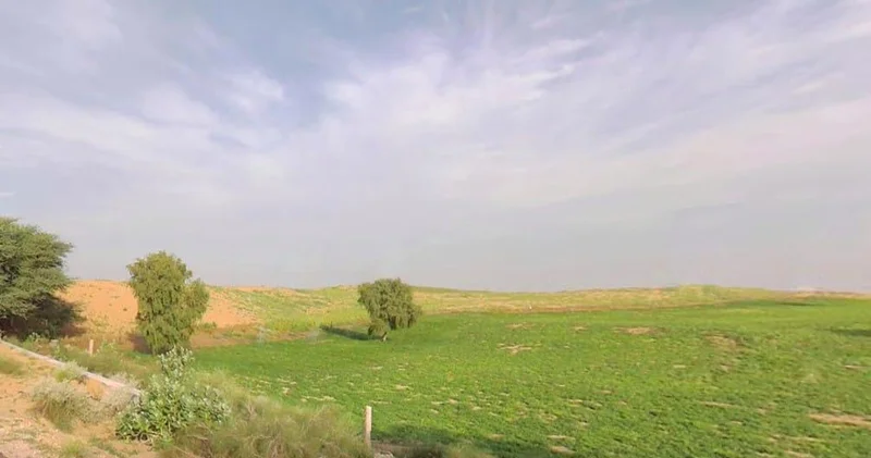 Chatargarh, Rajasthan, India preview 3