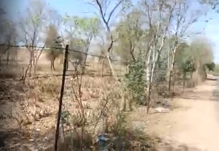 Lunkaransar, Bikaner, Rajasthan 334603, India