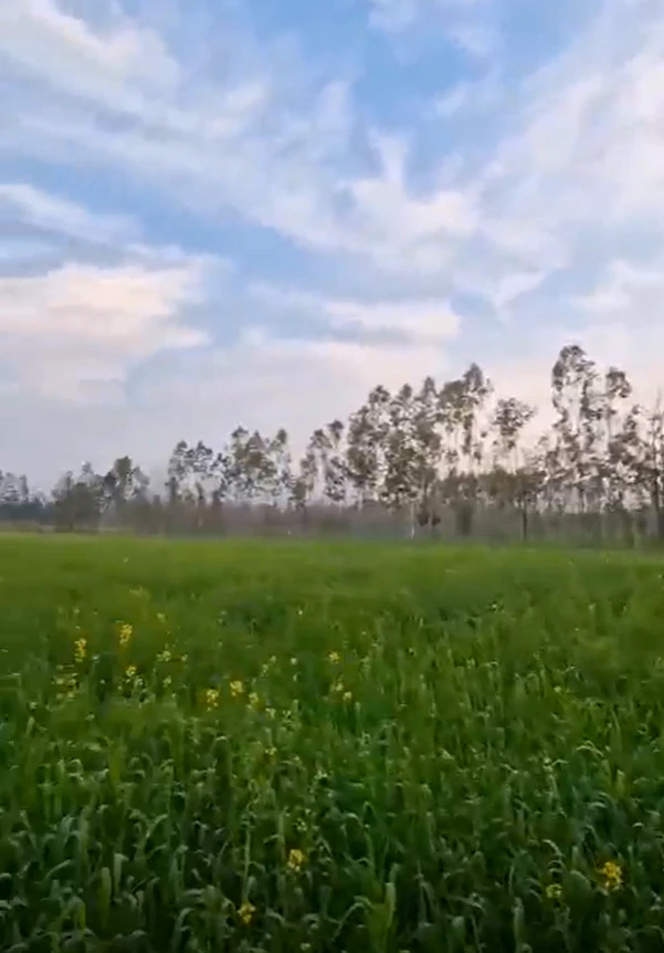 Dialpur, Kapurthala, Punjab, India