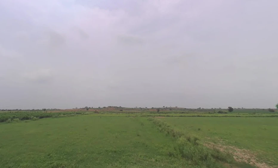 Meham, Haryana 124112, India