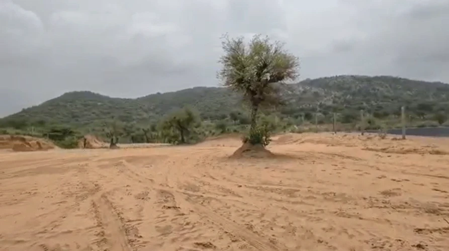 755Q+629, Sikar, Danta Ramgarh, Rajasthan 332703, India