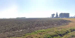 Jamaniya, Madhya Pradesh, India preview 2