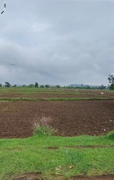 CQ98+75 Girbar, Raisen, Madhya Pradesh, India