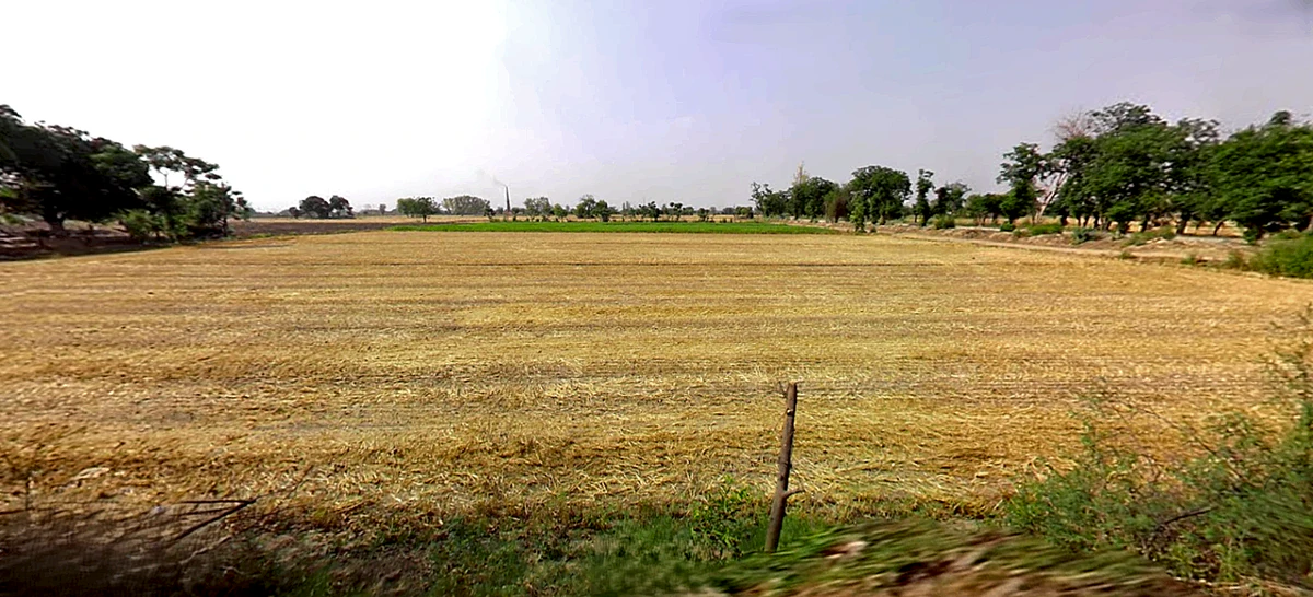 Tibbi, Haryana 134204, India