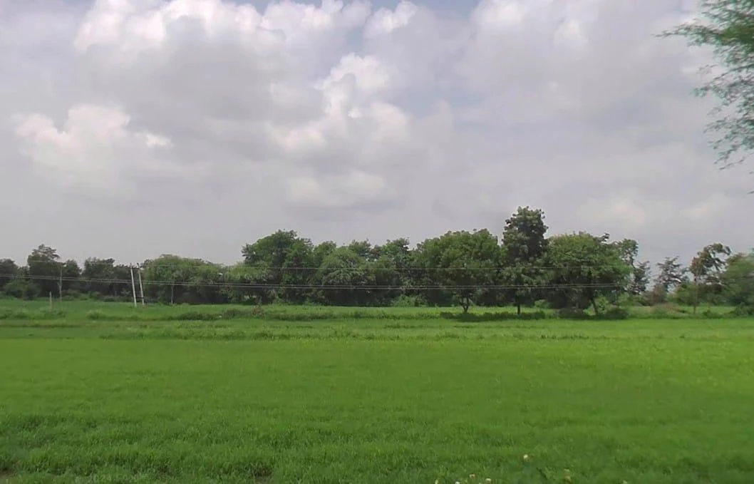 JXMM+XG Beejana, Rajasthan, India