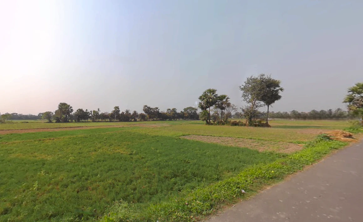 Kheyadah, Kheyadah Village, Kolkata, West Bengal 700150, India