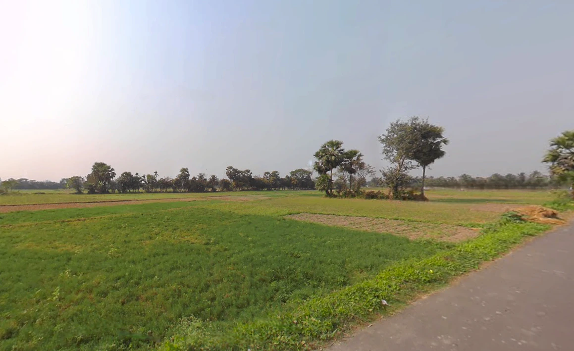 Kheyadah, Kheyadah Village, Kolkata, West Bengal 700150, India