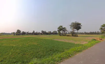 Kheyadah, Kheyadah Village, Kolkata, West Bengal 700150, India preview 3