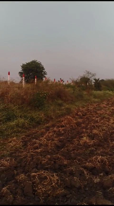 CXRX+833, Ujjain, Pankhade, Madhya Pradesh 456668, India