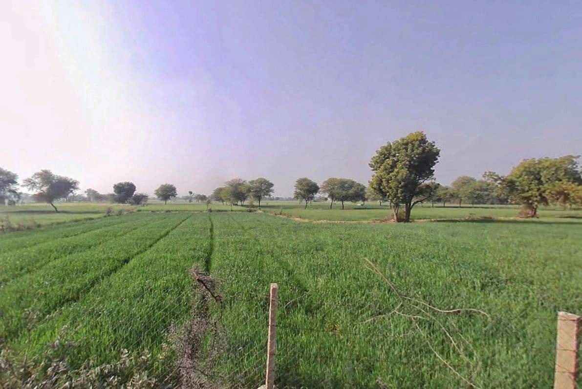 Q6F8+8GP, Lawan, Purbiyawas, Rajasthan 303004, India