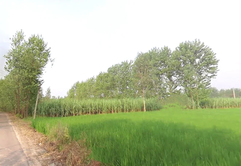 4RX4+R42, Satpura, Uttar Pradesh 247129, India preview 3