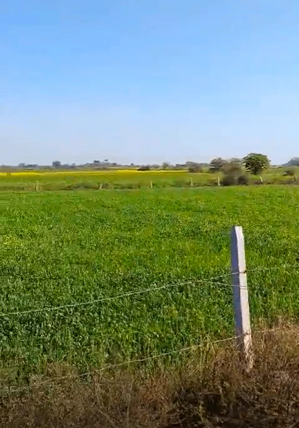 8843+RG Chandupura, Gwalior, Madhya Pradesh, India