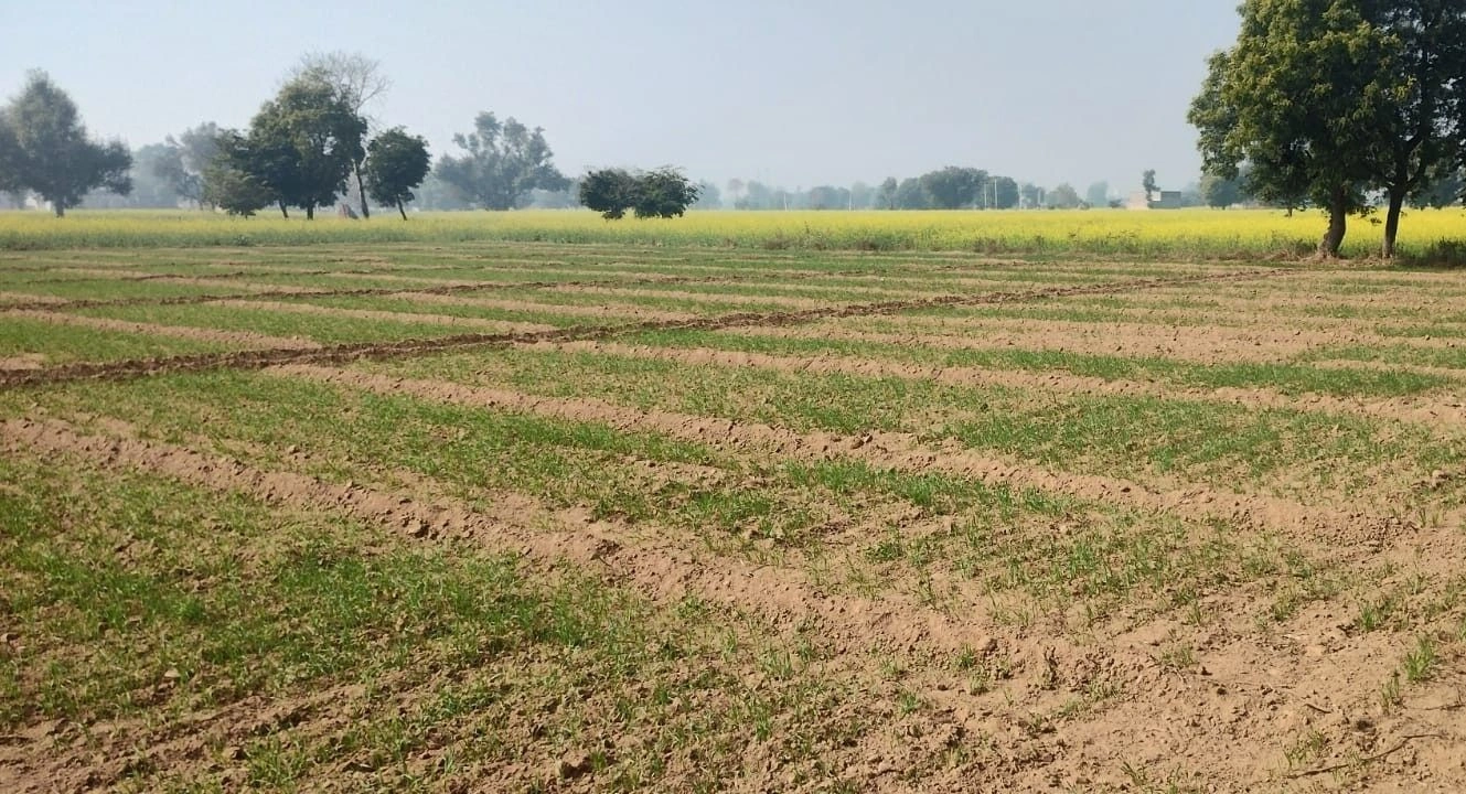 Shahpura, Rajasthan 303103, India