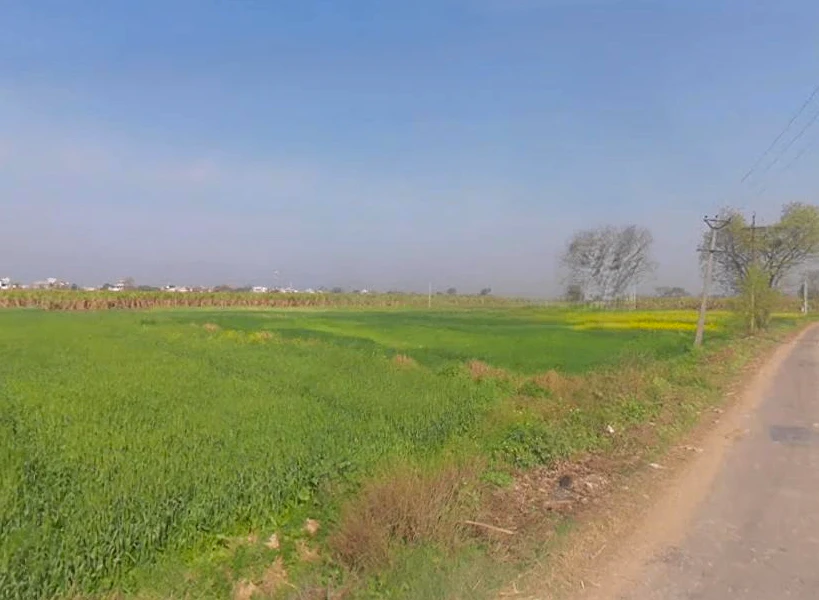 Thakurdwara, Uttar Pradesh 244601, India
