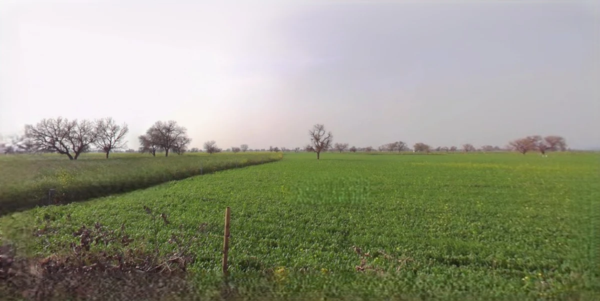 Mandsaur, Madhya Pradesh, India