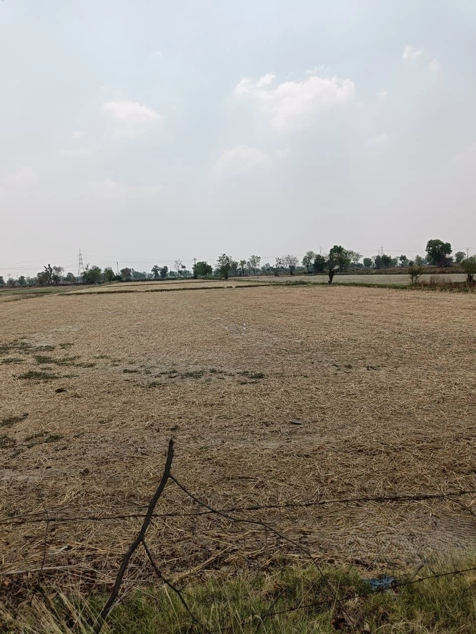 Bhoorasar, Bikaner, Rajasthan, India