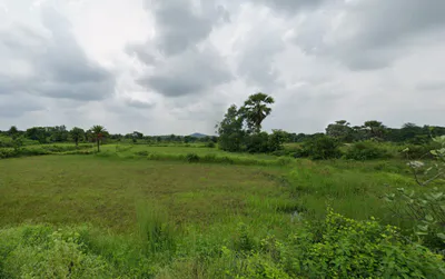 Saltora, West Bengal 722158, India preview 3