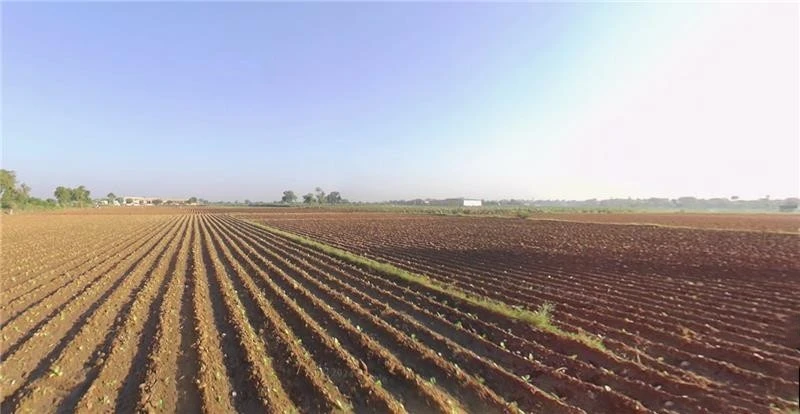 Lakadia, Gujarat 370145, India