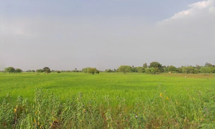 Durendi, Uttar Pradesh, India
