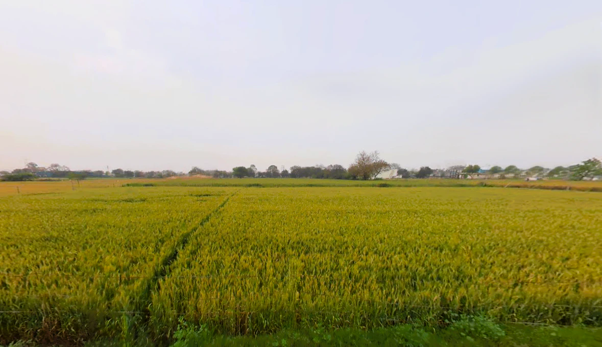 Mirzapur, Sector 74, Faridabad, Haryana 121006, India