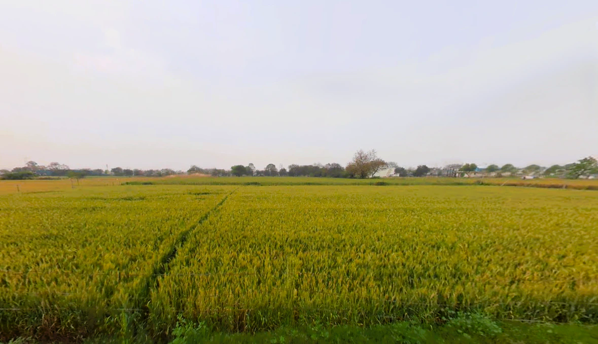 Mirzapur, Sector 74, Faridabad, Haryana 121006, India