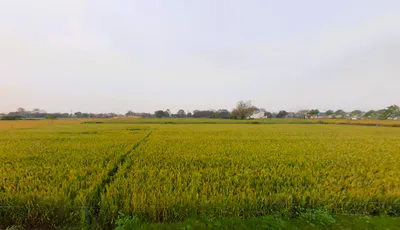 Mirzapur, Sector 74, Faridabad, Haryana 121006, India preview 3