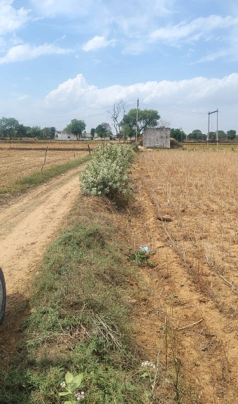 9V85+J5J, Laxmangarh, Rajasthan 321607, India