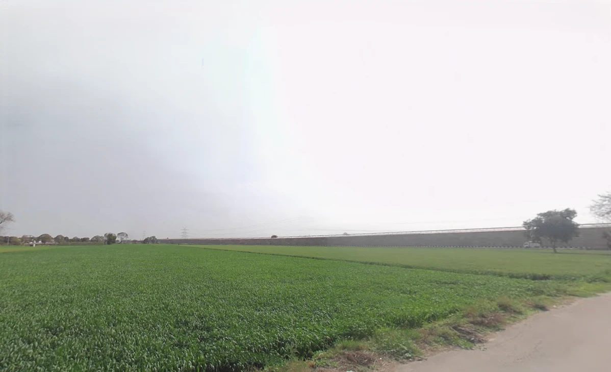 Harsana Kalan, Haryana 131001, India