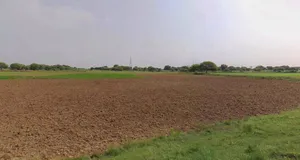 Jind, Haryana, India preview 2