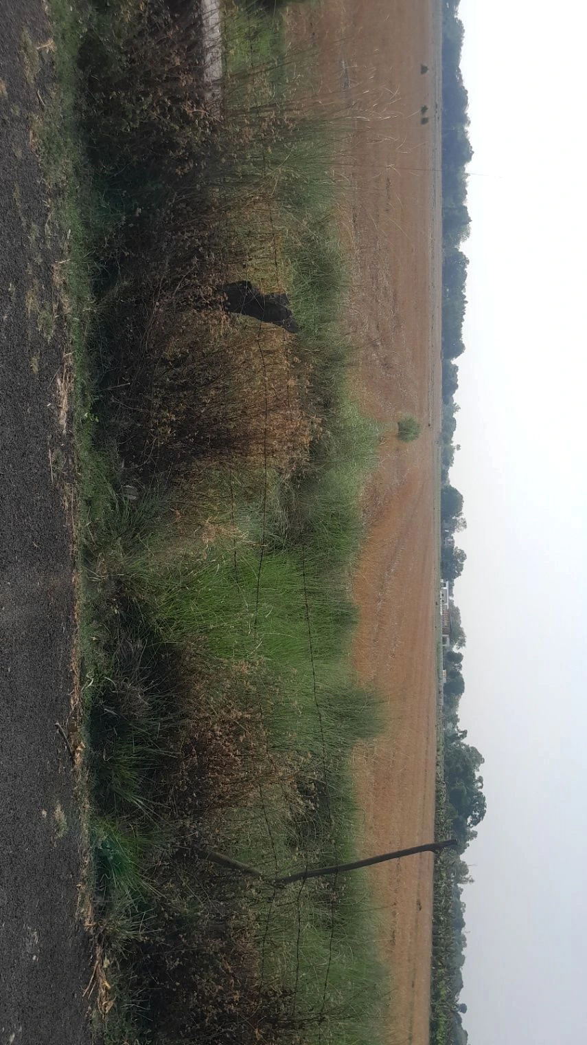P5M8+P7 Chandpur Harbanshpur, Uttar Pradesh, India