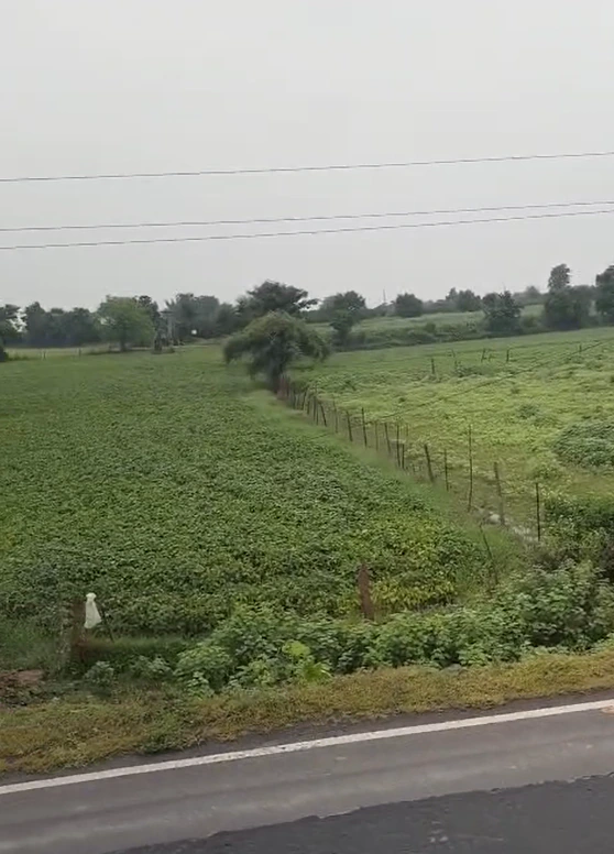 Lodha, Aligarh, Uttar Pradesh 202140, India - Photo 2