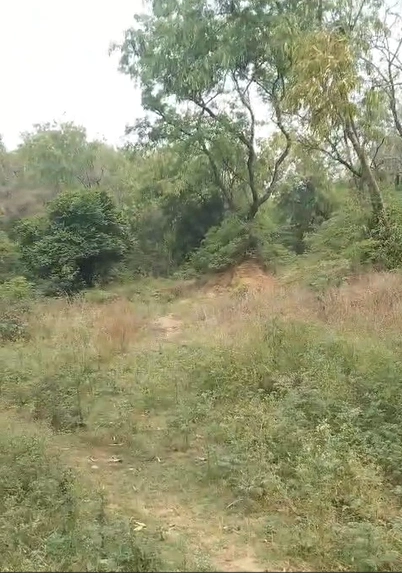 Dhari, Nainital, Uttarakhand 262580, India