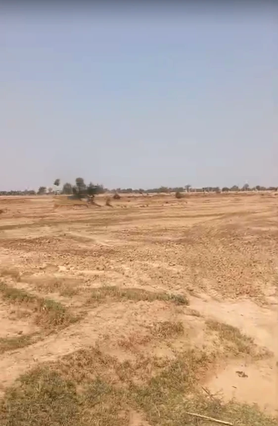 Salimsar Majra, Haryana 131022, India